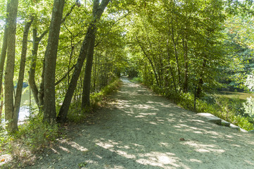 Towpath sandwiched between the Blackstone Canal and the Blackstone River