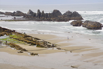 Row of sea stacks at Seal Rock beach