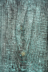 texture of an old tree with cracks, painted wooden surface with peeling paint, close-up abstract background