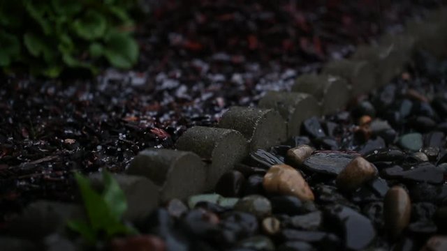 Autumn Outstanding Hail Falls on the Grey Stones and Beautiful Green Grass during rain in Autumn in Portland Oregon USA , close-up