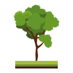 Tree on ground vector illustration graphic design