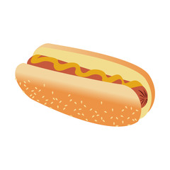 Hot dog fast food vector illustration graphic design