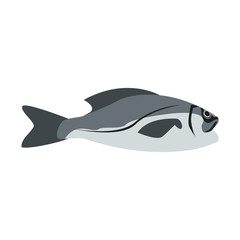 Fish seafood isolated vector illustration graphic design