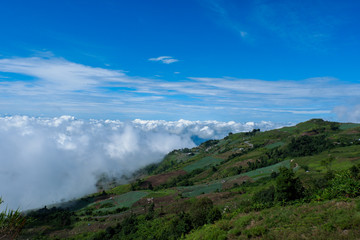Rural scene with mountains and fog in the background