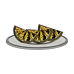 Orange slices on dish vector illustration graphic design