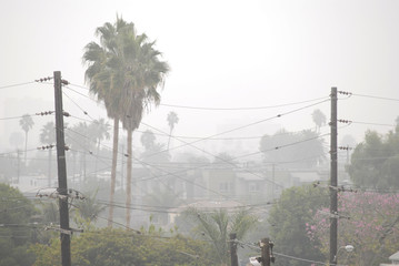 Rainy gray Santa Monica view