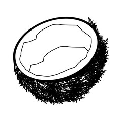 Coconut tropical fruit vector illustration graphic design