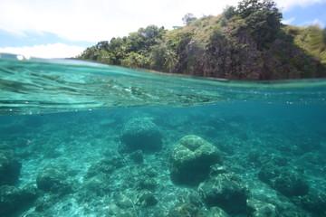 Over under split shot half underwater half tropical cliffs