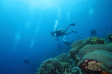 Naklejka na ściany i meble Female Scuba Diver Tropical Coral Reef Underwater
