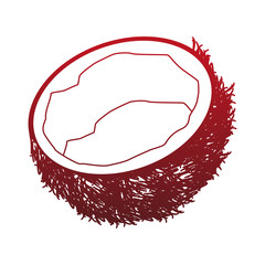 Coconut tropical fruit vector illustration graphic design