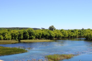 Quiet river flow