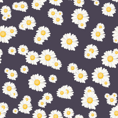 Floral daisy chamomile botanical seamless pattern