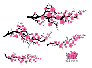 Japan cherry blossom branching tree. Japanese invitation card with asian blossoming plum branch. Year of the pig