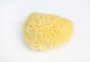Bathing sea sponge for babies in hand isolated on white background.