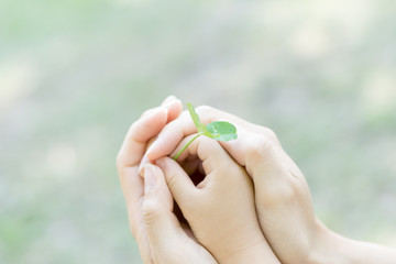 エコロジー　愛　誕生　平和　　