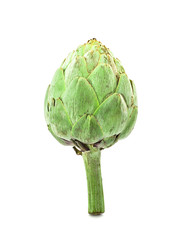 Fototapeta premium artichoke isolated on white background