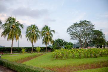 Fototapeta na wymiar Beautiful landscape of tropical plants of the Andaman Sea to Port Blair India 