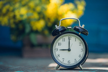 Retro 9 o'clock. Flowers in old wooden box. Day Light Garden Background with space for text.