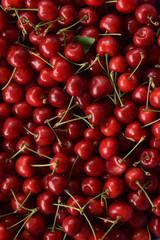  a lot of red ripe sweet cherry lies on the table