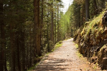 Fototapeta premium Mountain path