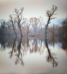 Spring flood in the river.