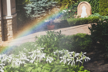 Beautiful rainbow in blossoming yard