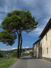 Fototapeta na wymiar Vinci - Tuscany - Italy