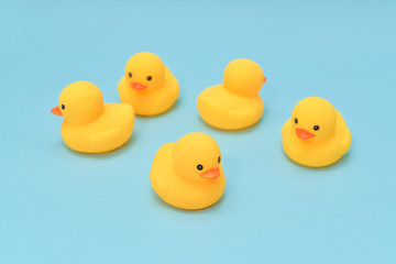 No direction concept, rubber ducky are swimming in the different direction