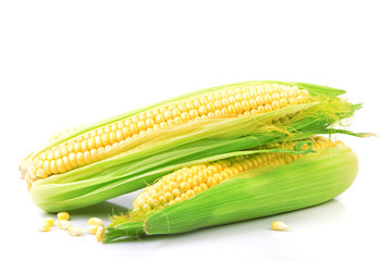 Fresh corn