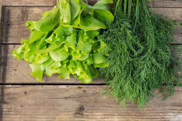 A bunch of dill and lettuce. Fresh dill from the summer garden. View from above. Copy space.