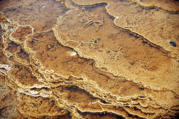 The texture of the geyserite near the thermal springs