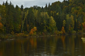 Fototapeta na wymiar Autumn in Sigulda, Latvia