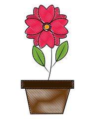 flower with branch and leafs in pot vector illustration design