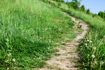 Obraz premium footpath in the field