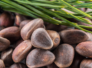 Unshelled pine nuts and green pine leaves. Macro. Food background.