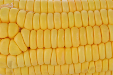 A group of yellow corn kernel into the background.