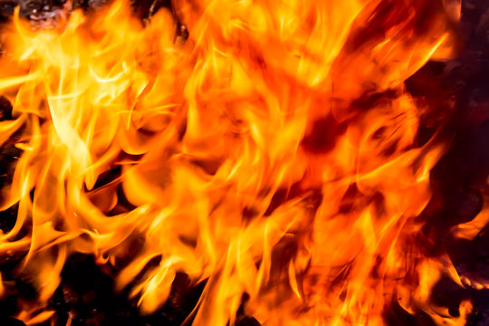 Blaze fire flame close up texture background. Abstract fire texture