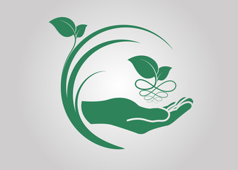 leaf in hand icon