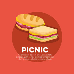 Infographic of picnic food concept with sandwichs icon over red background, colorful design. vector illustration