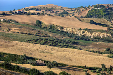 Panoramic view of olive groves and farms on rolling hills of Abruzzo and in the background the Adriatic Sea. Italy