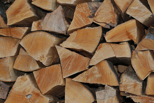 Close-up stacked in a woodpile trimmed logs from the tree of the Caucasian Fagus orientalis beech oriental for relaxation