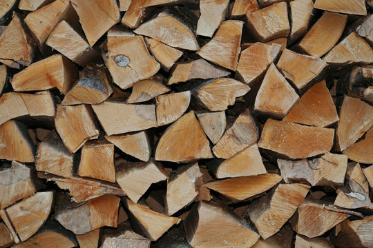 Close-up folded logs of wood of Caucasian Fagus orientalis of beech oriental in the form of woodpile