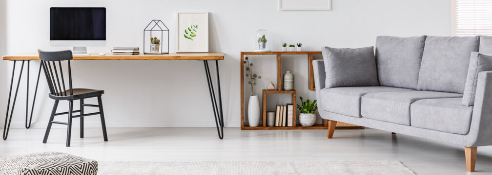 Study corner with black chair and hairpin table with empty monitor, simple poster and cactus in white living room interior with grey sofa and fresh plants