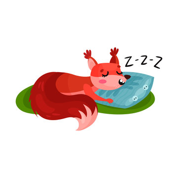 Red squirrel sleeping on soft pillow outdoor. Small forest rodent napping on green grass. Flat vector for sticker or children book