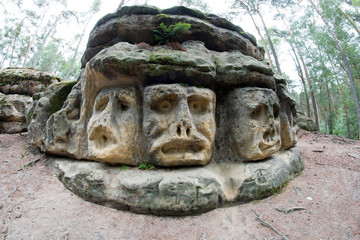 Bizarre Stone Head