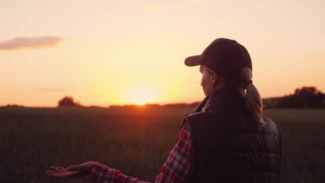 An angry farmer is talking emotionally on the phone. Standing in the wheat field at sunset