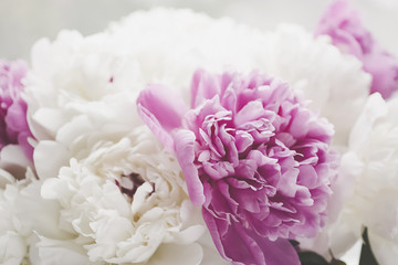 A bouquet of flowers close-up. White and pink peonies.