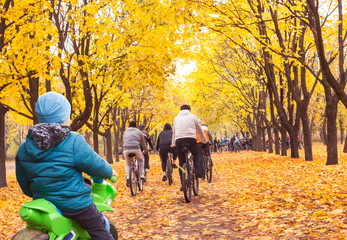 Fototapeta premium Little boy on a children's bicycle looks at adult cyclists in an autumn park. The concept of imitation of adults.
