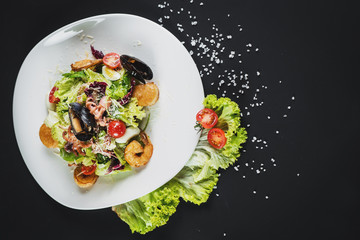 Tasty salad dish from seafood