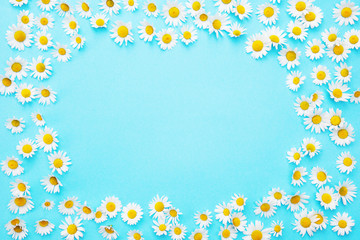 blue background with white beautiful daisies